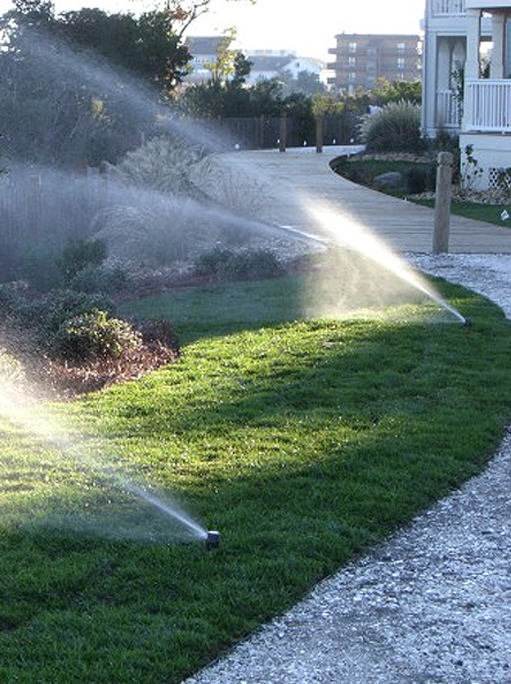 residential landscaping atlantic beach